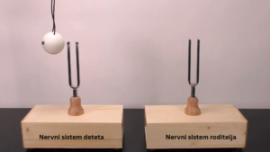 Tuning forks - nervous system